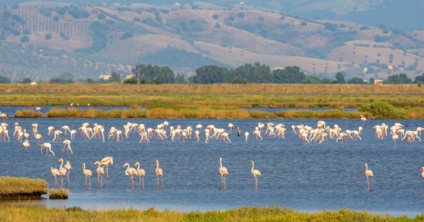 Maremma d'altri tempi. Viaggio fra gli eventi, le condizioni