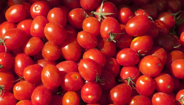 pomodori pachino igp
